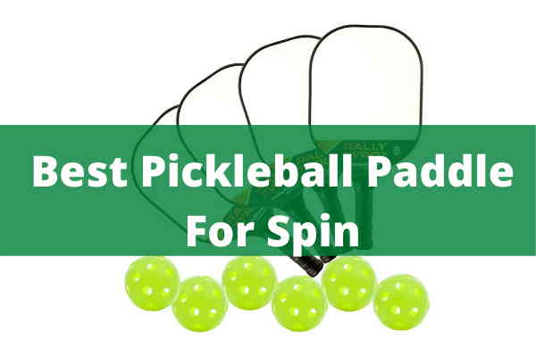 Best Pickleball Paddle For Beginners Best Pickleball Paddle For Beginners