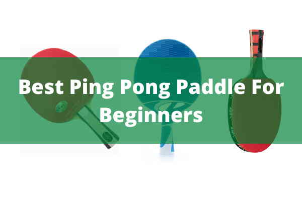 Best Ping Pong Paddle For Beginners