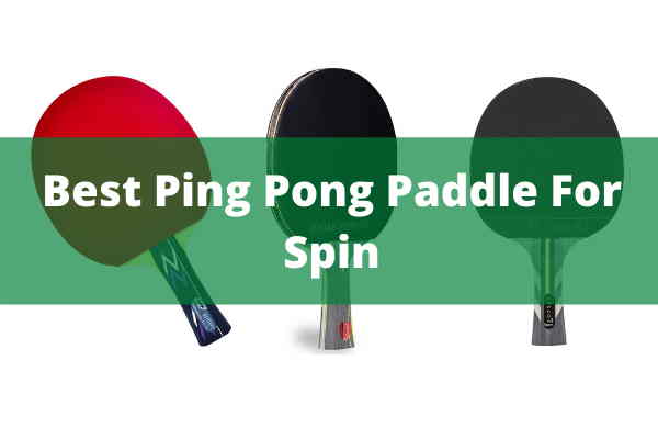 Best Ping Pong Paddle For Spin Best Ping Pong Paddle For Spin