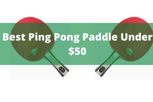 Best Ping Pong Paddle Under $50 Best Ping Pong Paddle Under $50