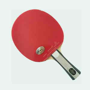 Palio Expert 2.0 Table Tennis Racket-best selling ping pong paddle for beginners