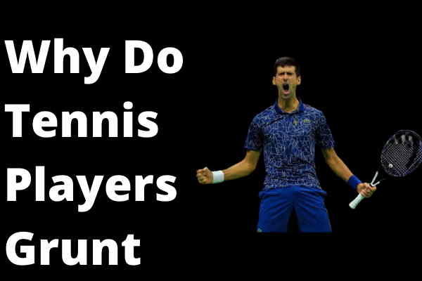 Why Do Tennis Players Grunt Why Do Tennis Players Grunt
