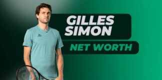 Gilles Simon und sein Vermögen