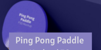 Ping Pong Paddle abaixo de $ 50