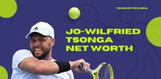 Jo-Wilfried Tsonga und sein Vermögen
