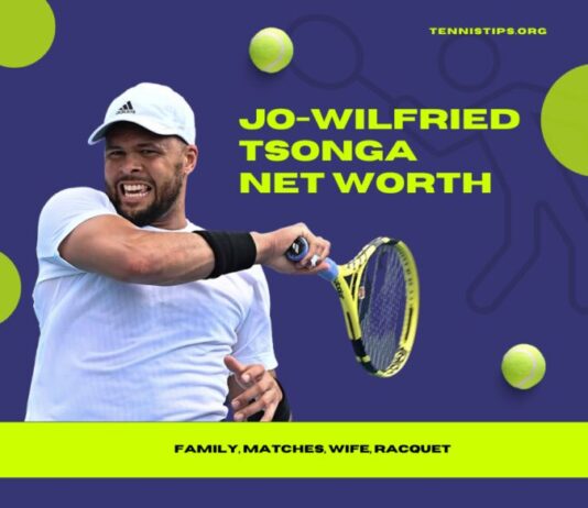 Jo-Wilfried Tsonga nettowaarde