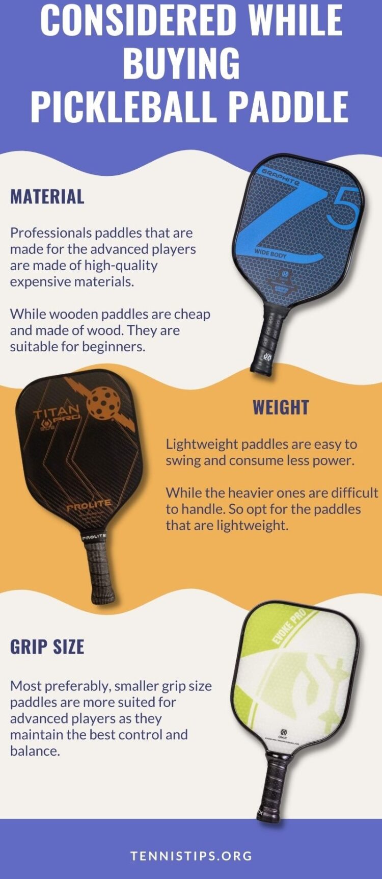 Comprando o infográfico de Pickleball Paddle