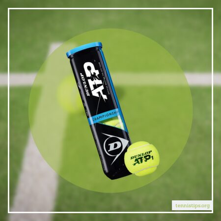 https://www.amazon.com/DUNLOP-Championship-Tennis-Balls-Tube/dp/B07PR5XG68?tag=tennistipsorg01-20