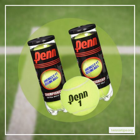 Penn Şampiyonası Tenis Topları