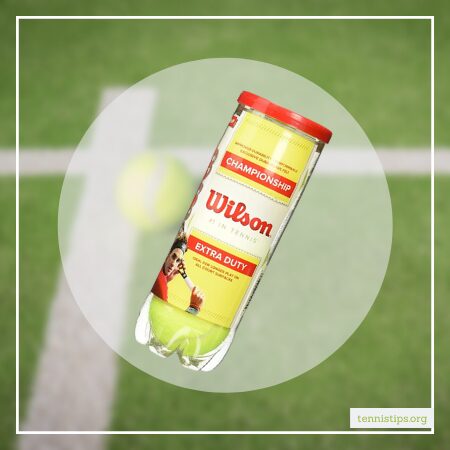 Wilson Championship Tennis Balls