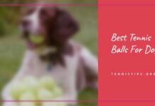 Best Tennis Balls For Dogs