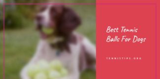 Beste tennisballen voor honden