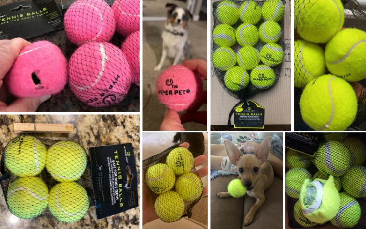 Pelotas de tenis Hyper Pet para perros