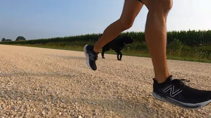 Tudo a ter em atenção num bom par de calçado para passear - Suporte