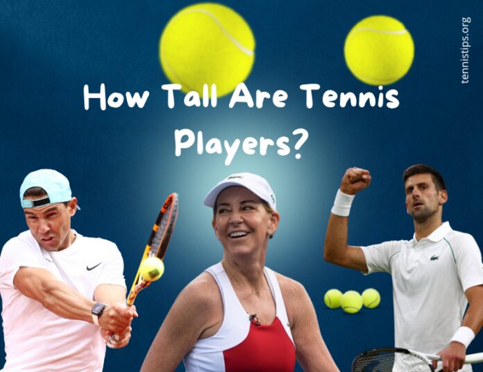 lång tennisspelare