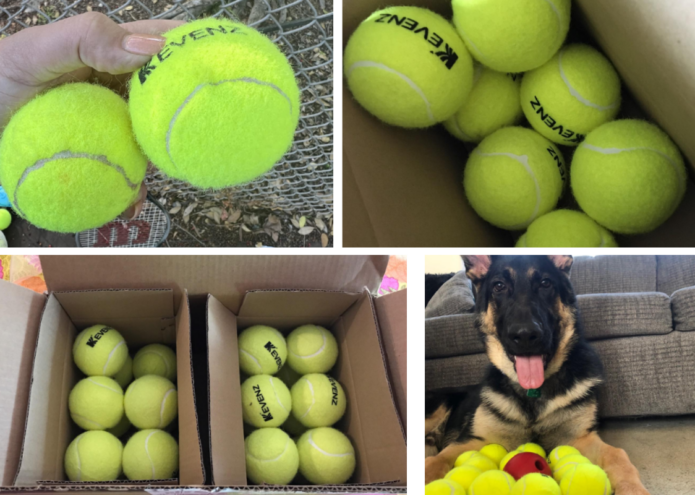 KEVENZ 12-Pack Standard Pressure Training Tennis Balls