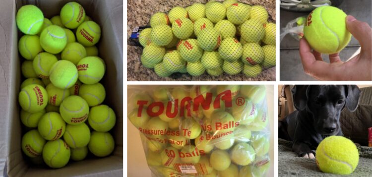 Tourna Pressureless Tennis Ball