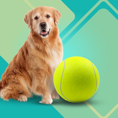 Banfeng Giant 9.5_ Pelota de tenis para perros