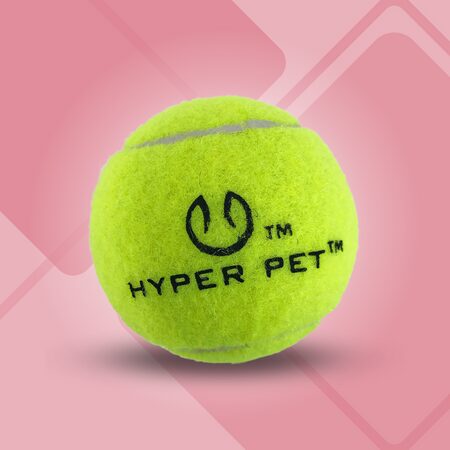 Balles de tennis Hyper Pet pour chiens