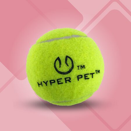 or ideal as pet toys. yellow Milipon Professional tennis balls for outdoor training 