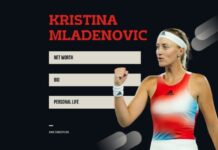 Das Vermögen von Kristina Mladenovic