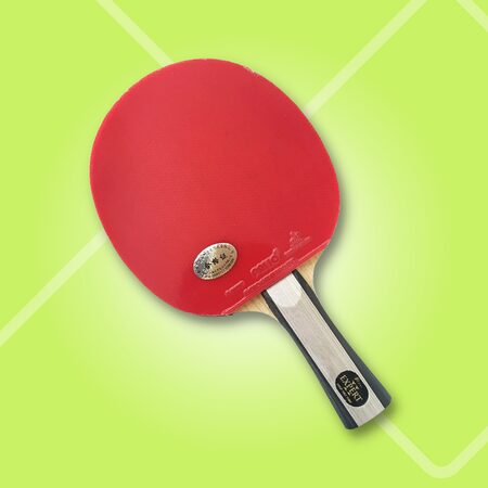 Raqueta de tenis de mesa Palio Expert 2.0