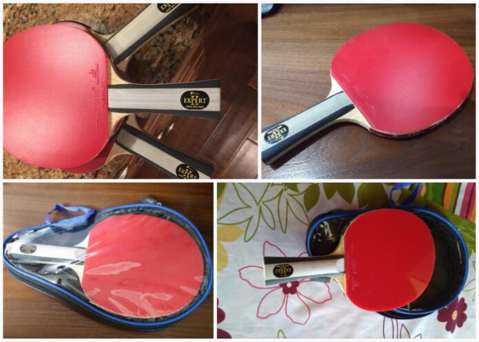 Palio Expert 2.0 Table Tennis Racket