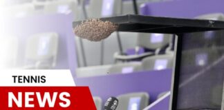 Match Between Pera and Kvitova Delayed Due to the Bee Problem