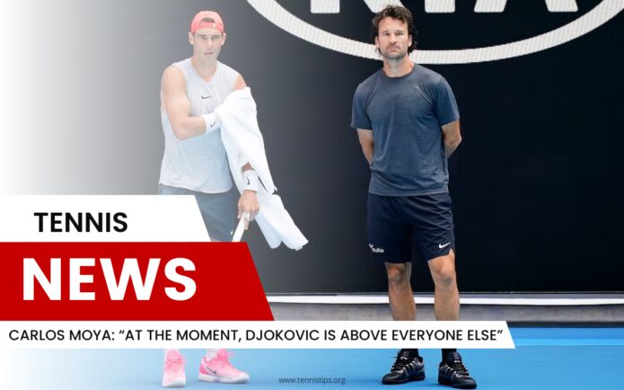 Carlos Moya „Im Moment steht Djokovic über allen anderen“
