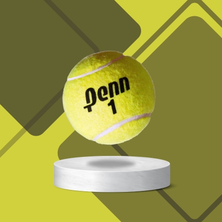 Palle da tennis da campionato Penn