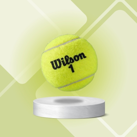 WILSON Roland Garros Clay Tennis Ball