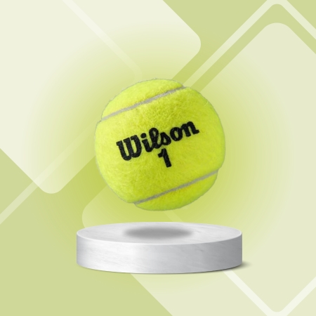 WILSON Roland Garros Clay Tennisball