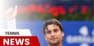ferrer is a new coach of spain's davis cup team