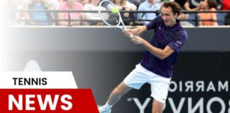 Medvedev Advances to the Third Round Effortlessly