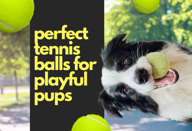 perfecte tennisballen voor speelse pups